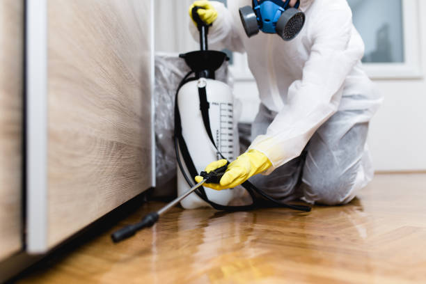 Best Pest Inspection Near Me  in East Moline, IL