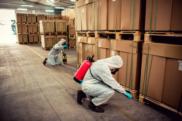 Best Emergency Pest Control  in East Moline, IL