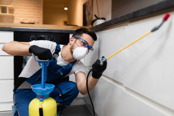 Best Rat Extermination Near Me  in East Moline, IL