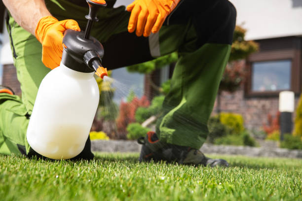 Best Termite Control Services  in East Moline, IL
