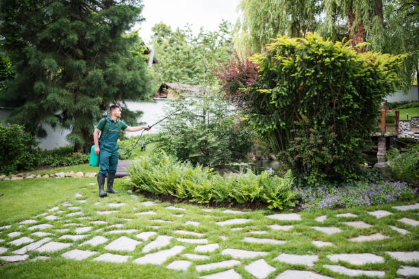Best Wasp Removal Services  in East Moline, IL