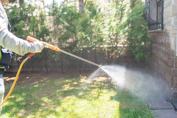  East Moline, IL Pest Control Pros