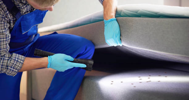 Best Pest Control Near Me  in East Moline, IL