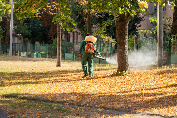 Best Spider Control Near Me  in East Moline, IL