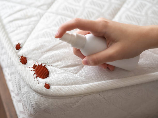 Best Pest Removal Services  in East Moline, IL