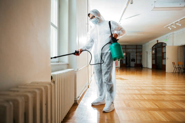Best Bed Bug Extermination  in East Moline, IL